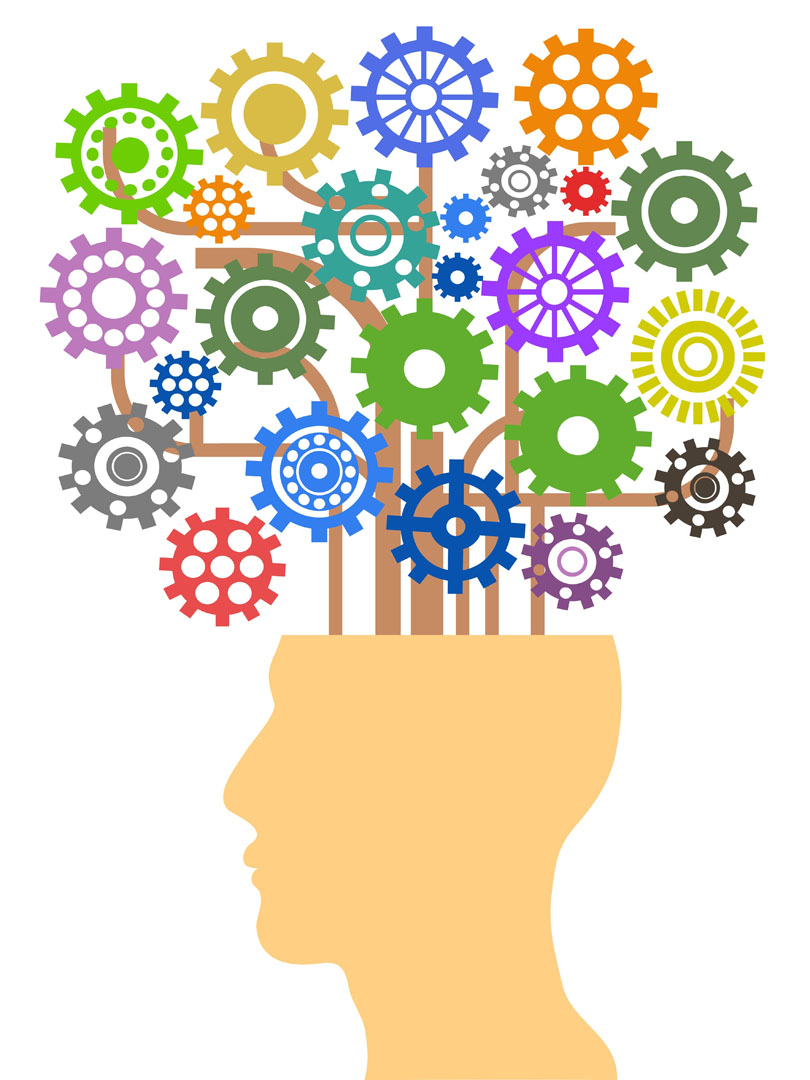 Cognition